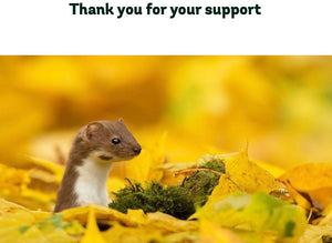 Donation to 'The Woodland Trust'. November 2020.