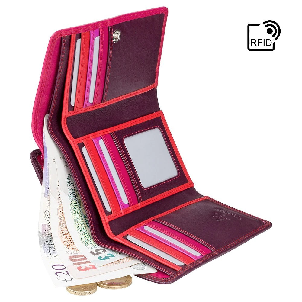 Visconti Bora Ladies Two Tone Plum Leather Purse