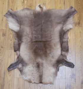 Hanlin Medium Reindeer Hide  Reindeer Skin  Reindeer Rug
