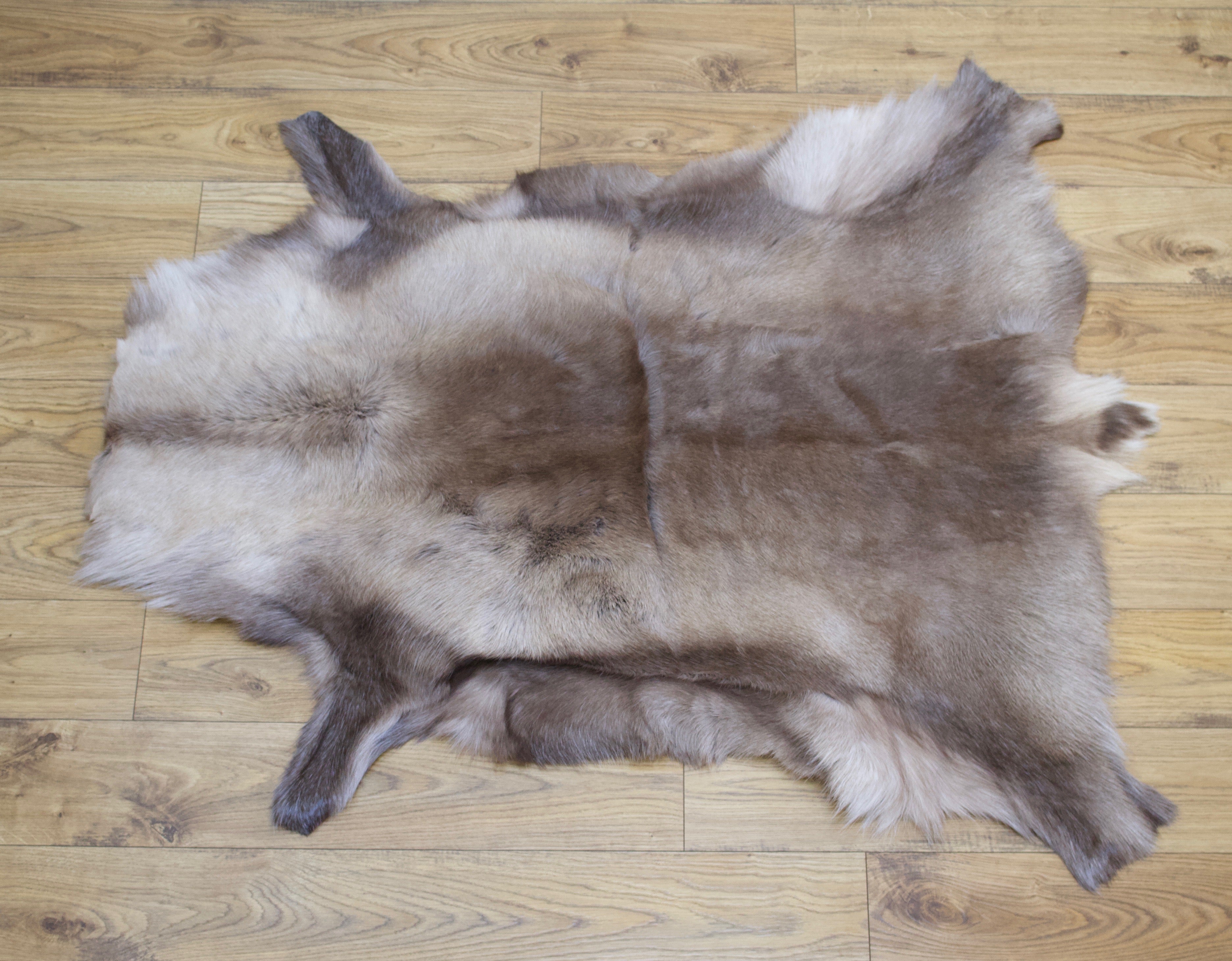Hanlin Medium Reindeer Hide Reindeer Skin  Reindeer Rug