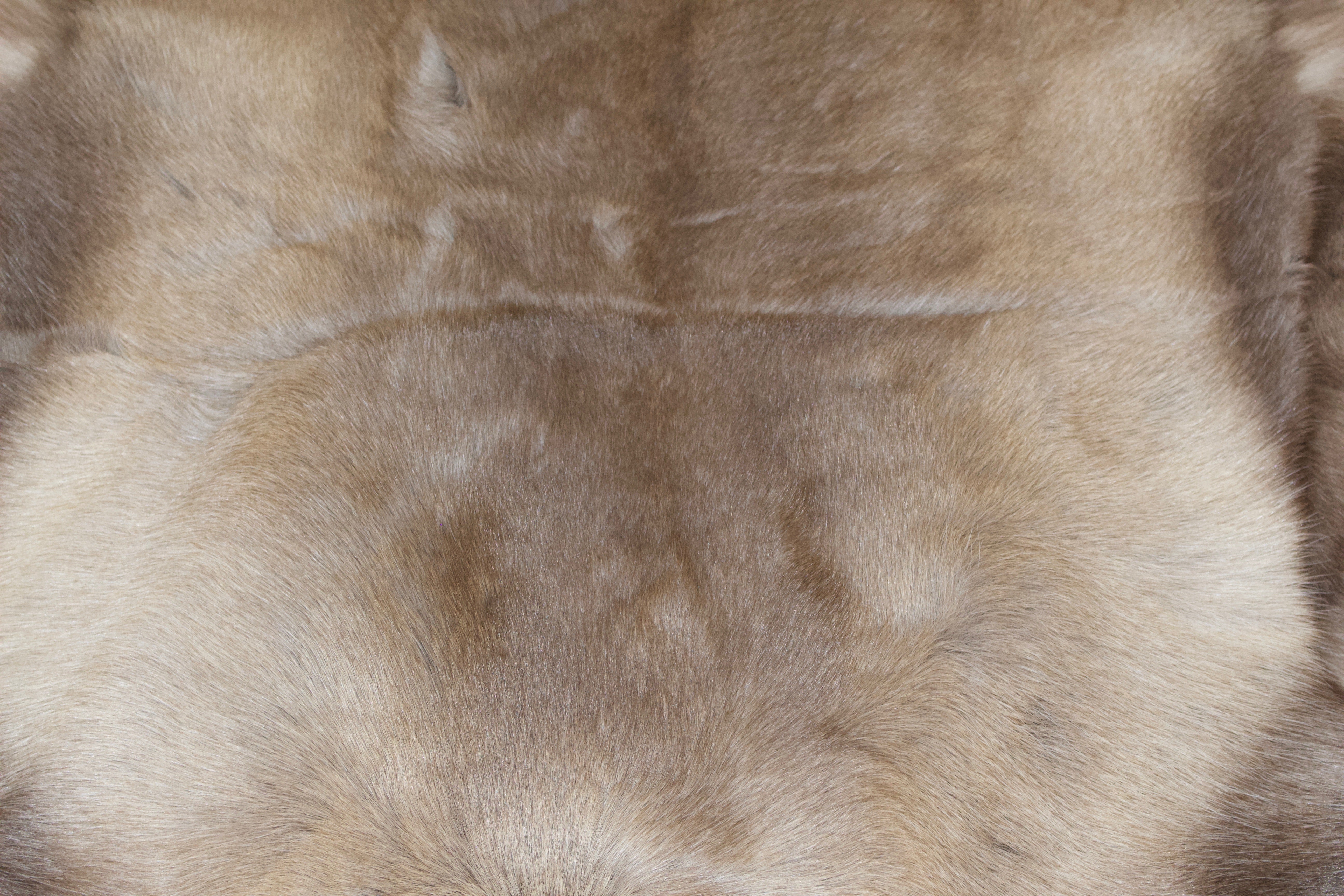 Hanlin Medium Reindeer Hide  Reindeer Skin  Reindeer Rug