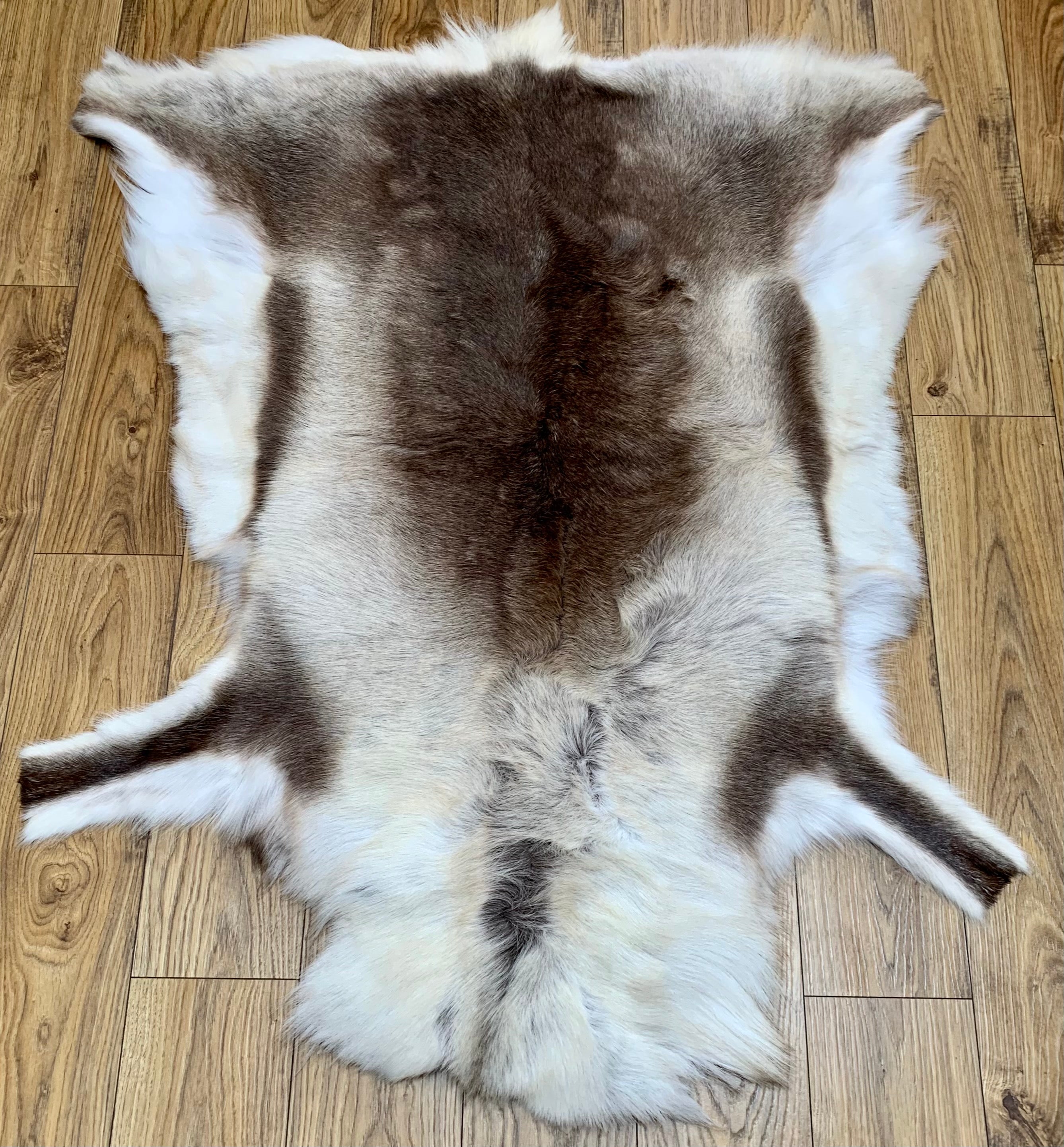 Hanlin Medium Reindeer Hide - Light