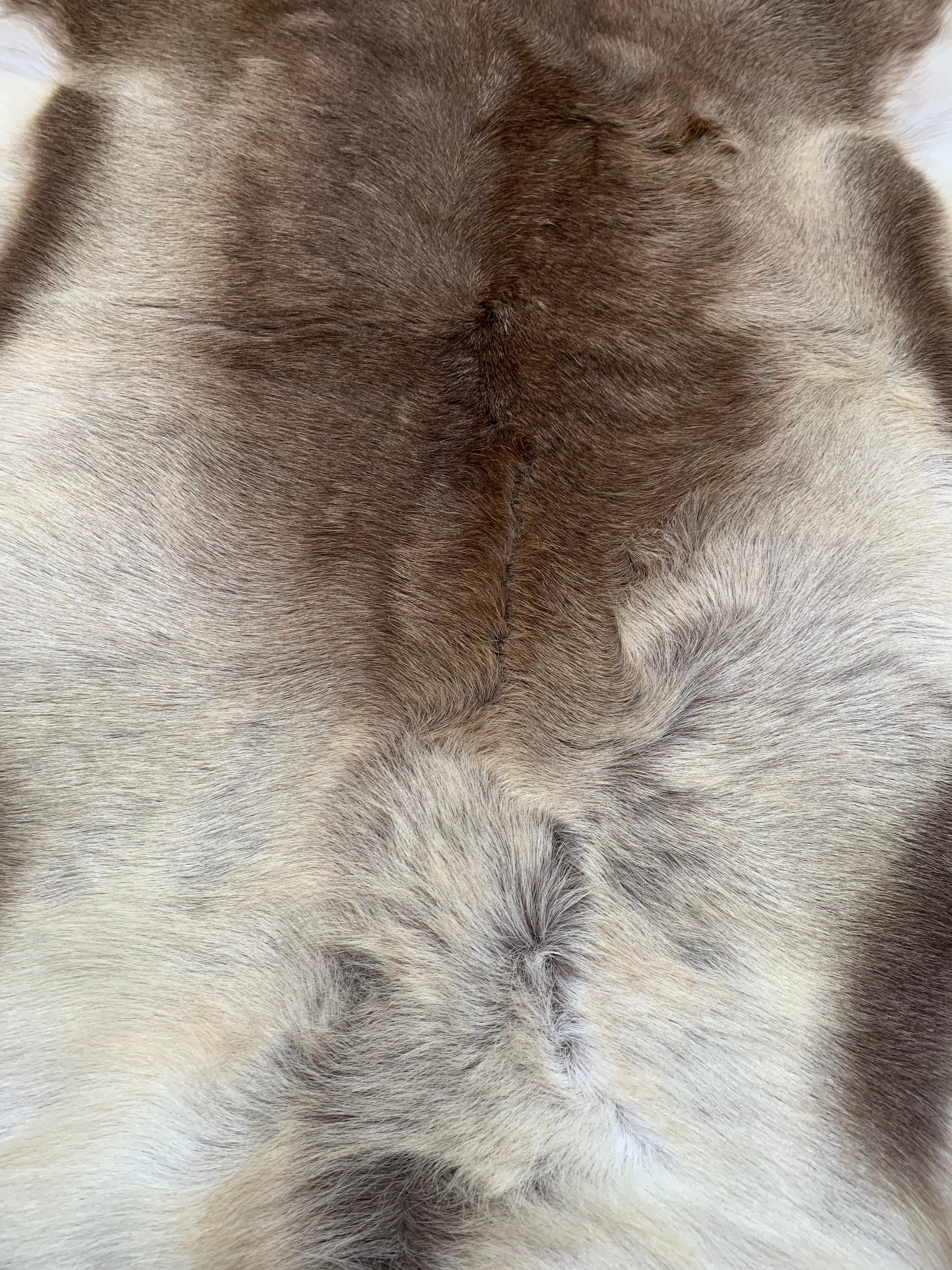 Hanlin Medium Reindeer Hide - Light