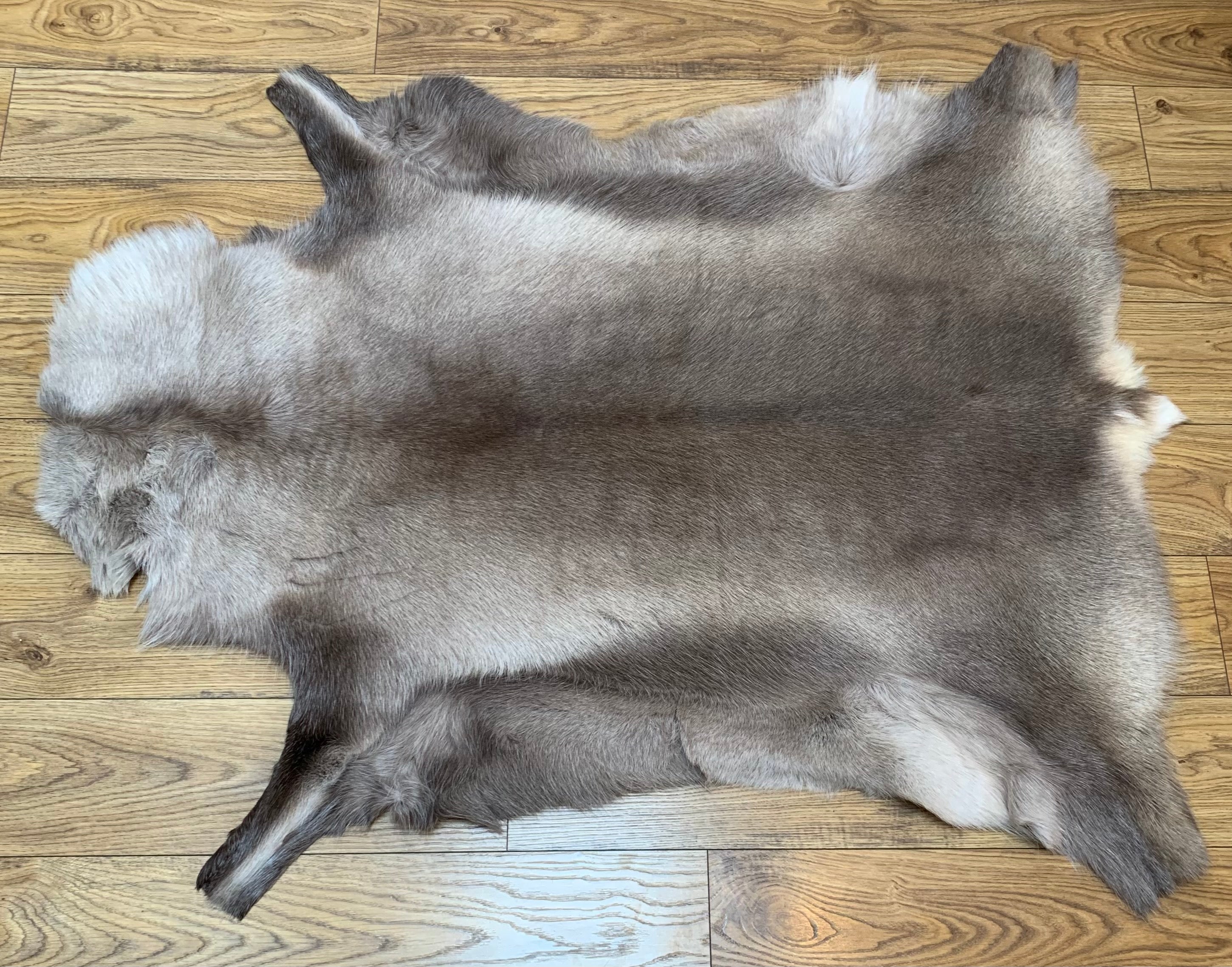 Hanlin Medium Reindeer Hide - Dark 