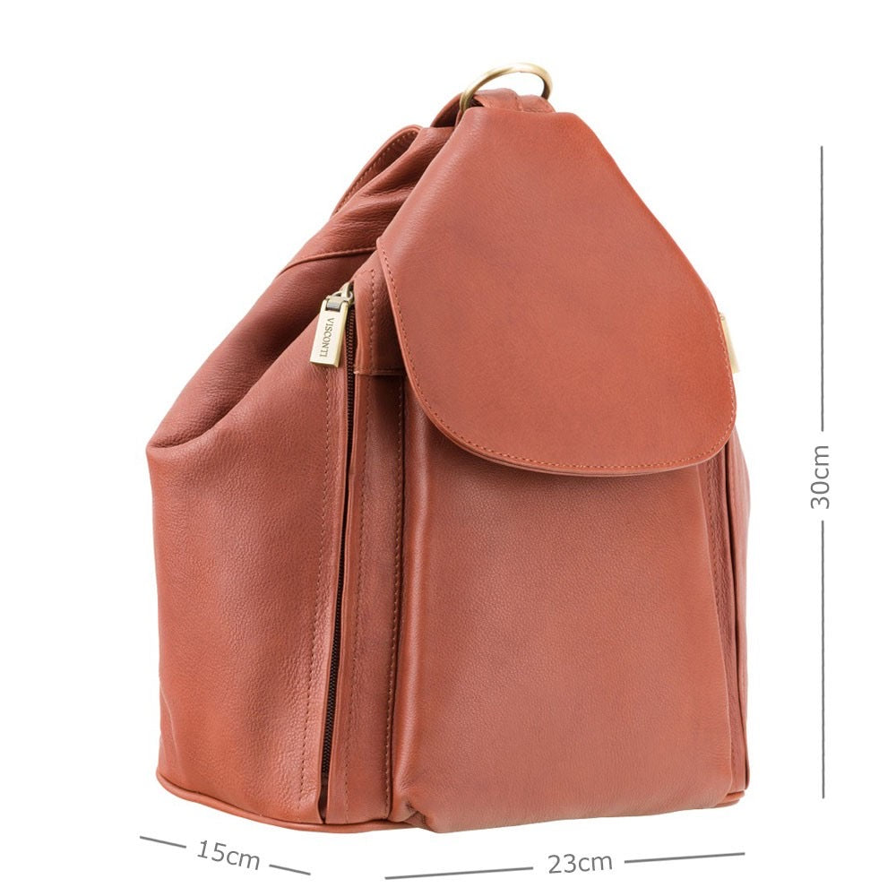 Visconti Danii Ladies Brown Leather Backpack | Shoulder Bag