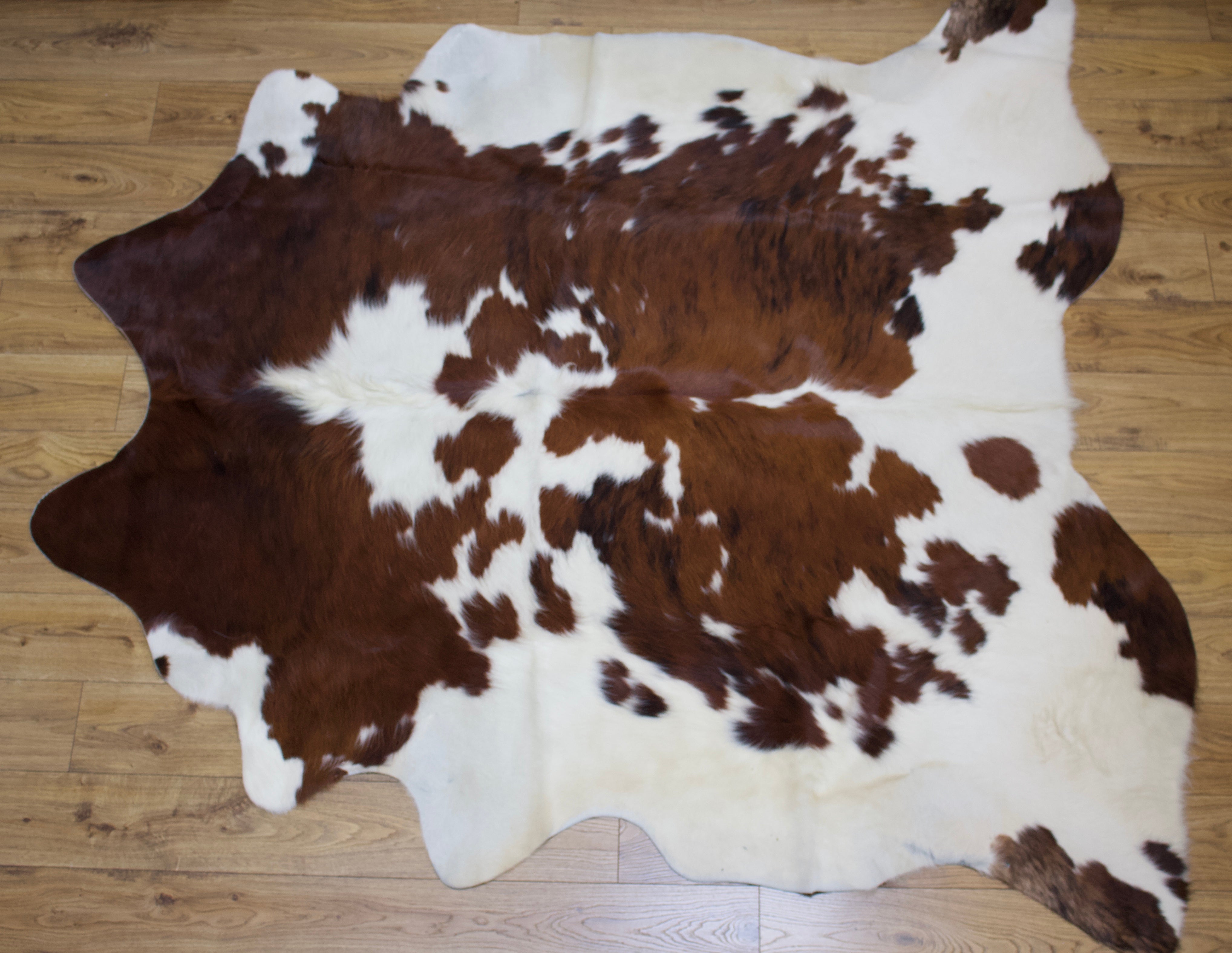 Hanlin tri colour cowhide skin rug